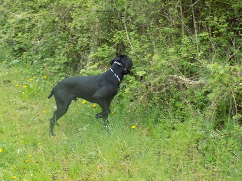 Jag Du Chemin D'havay