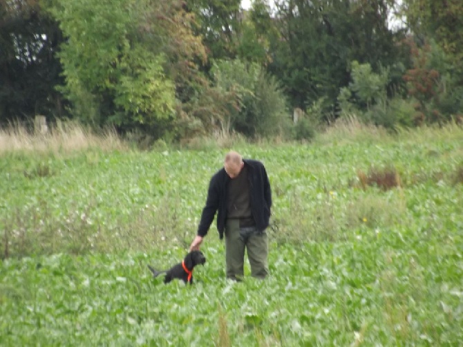 Du Chemin D'havay - TAN haveluy 05 septembre 2015