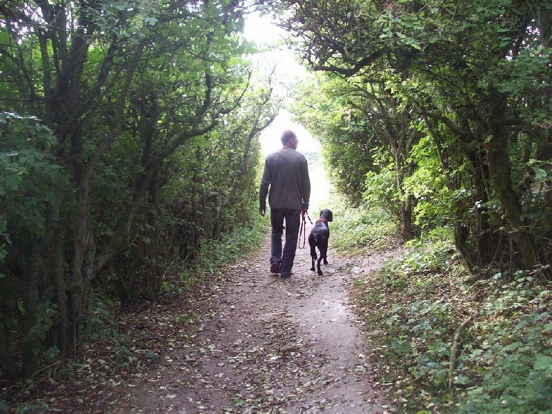 Promenade